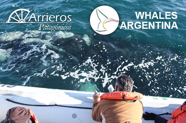 Arrieros Patagónicos!
